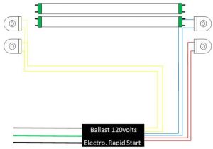 Programmed Start Ballast Wiring Diagram Rapid Start Ballast Diagrams Wiring Diagram Operations