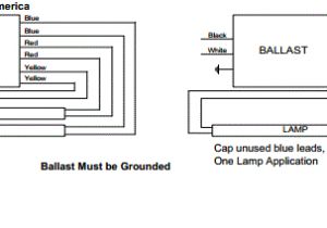 Programmed Start Ballast Wiring Diagram T12 Ballast Wiring Diagram 1 Lamp with 2 Lamp Fluorescent Ballast Programmed Start Ballast Wiring Diagram T12 Ballast Wiring Diagram 1 Lamp with 2 Lamp Fluorescent Ballast