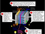 Proton Wiring Diagram Fuel Cell Schematic Wiring Diagram Article Review