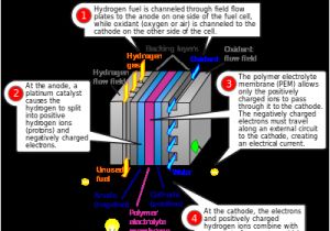 Proton Wiring Diagram Fuel Cell Schematic Wiring Diagram Article Review