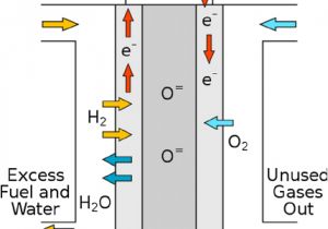 Proton Wiring Diagram Fuel Cell Schematic Wiring Diagram Expert