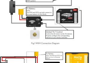 Proton Wiring Diagram Naza M Wiring Diagram Light Wiring Diagram Name
