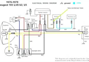 Puch Moped Wiring Diagram Newport Wiring Diagram Wiring Diagram