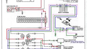 Push button Starter Switch Wiring Diagram Starter Push On Wiring Diagram Wiring Diagram Center