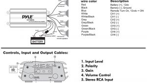 Pyle Hydra Amp Wiring Diagram Pyle Plmra620 Amplifier Wiring Diagram Wiring Diagram Srcons