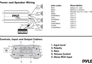 Pyle Hydra Amp Wiring Diagram Pyle Plmra620 Amplifier Wiring Diagram Wiring Diagram Srcons