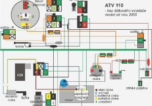 Quad Wiring Diagram Quad Wiring Diagram Inspirational Chinese atv Wiring Schematic 110cc