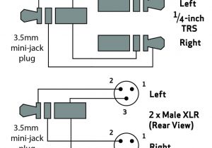 Quarter Inch Jack Wiring Diagram 2 1 Xlr Wiring Diagram Wiring Diagram