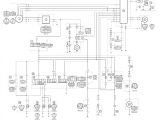 Raptor 660 Wiring Diagram Staefa Raptor Wiring Diagram Wiring Diagram Centre Raptor 660 Wiring Diagram Staefa Raptor Wiring Diagram Wiring Diagram Centre