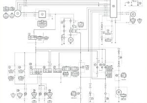 Raptor 660 Wiring Diagram Staefa Raptor Wiring Diagram Wiring Diagram Centre Raptor 660 Wiring Diagram Staefa Raptor Wiring Diagram Wiring Diagram Centre