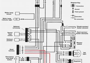 Raptor 660 Wiring Diagram Yamaha Ls2 Wiring Diagram Wiring Diagram Show Raptor 660 Wiring Diagram Yamaha Ls2 Wiring Diagram Wiring Diagram Show