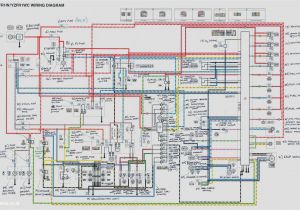 Raptor 660 Wiring Diagram Yamaha R15 Wiring Diagram Wiring Diagram Val