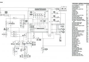 Raptor 700 Wiring Diagram Fuse Box 1997 Yamaha atv Wiring Diagram Article Review Raptor 700 Wiring Diagram Fuse Box 1997 Yamaha atv Wiring Diagram Article Review
