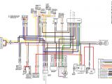 Raptor 700 Wiring Diagram Kfx 80 Wiring Diagram Wiring Diagram Raptor 700 Wiring Diagram Kfx 80 Wiring Diagram Wiring Diagram