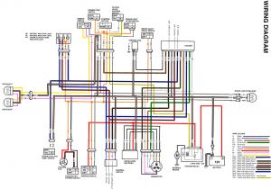 Raptor 700 Wiring Diagram Kfx 80 Wiring Diagram Wiring Diagram Raptor 700 Wiring Diagram Kfx 80 Wiring Diagram Wiring Diagram