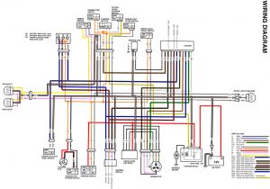 Raptor 700 Wiring Diagram Kfx 80 Wiring Diagram Wiring Diagram