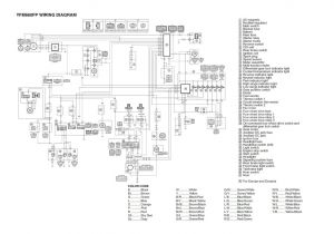 Raptor 700 Wiring Diagram Wed94hexw0 Wiring Diagram Wiring Diagram Database