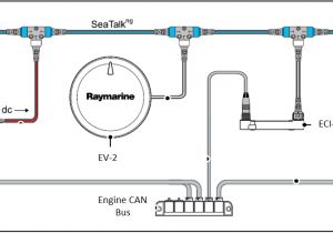 Raymarine Seatalk Wiring Diagram Ev Dbw Raymarine
