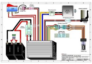 Razor Mx350 Wiring Diagram Terminator Scooter Wiring Harness Diagram Wiring Diagram Article