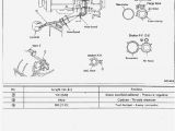 Rb25 Wiring Harness Diagram Rb20det Wiring Diagram Wiring Diagram Technic