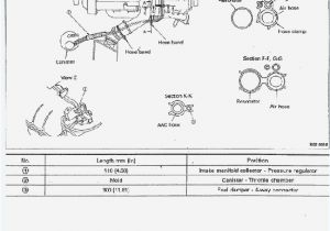 Rb25 Wiring Harness Diagram Rb20det Wiring Diagram Wiring Diagram Technic Rb25 Wiring Harness Diagram Rb20det Wiring Diagram Wiring Diagram Technic