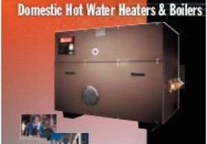 Rbi Dominator Boiler Wiring Diagram Stainless Steel Single Wall Indirect Water Heater California Boiler