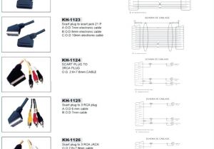 Rca Jack Wiring Diagram Rca Jack Wiring Diagram Elegant Scart to Rca Wiring Diagram Rca Jack Wiring Diagram Rca Jack Wiring Diagram Elegant Scart to Rca Wiring Diagram