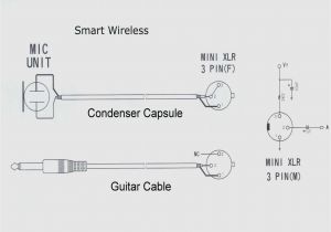 Rca Plug to Speaker Wire Diagram Rca Jack Diagram Wiring Diagram Name