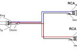Rca Plug to Speaker Wire Diagram Rca Plug Wire Diagram Wiring Diagram Img