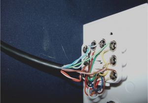 Rca Rj45 Wall Plate Wiring Diagram Rca Rj45 Jack Wiring Wiring Diagram Technic Rca Rj45 Wall Plate Wiring Diagram Rca Rj45 Jack Wiring Wiring Diagram Technic