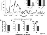 Ready Remote 21994 Wiring Diagram Regional Specificity Of Gabaergic Regulation Of Cross Modal