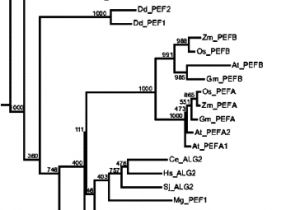 Ready Remote 24921b Wiring Diagram Biochemical Characterization Of A Truncated Penta Ef Hand