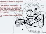 Receptacle Wiring Diagram Bmw X5 3 0d Engine Diagram Schematic and Wiring Diagrams for Option