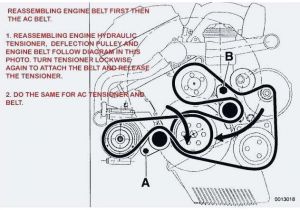Receptacle Wiring Diagram Bmw X5 3 0d Engine Diagram Schematic and Wiring Diagrams for Option