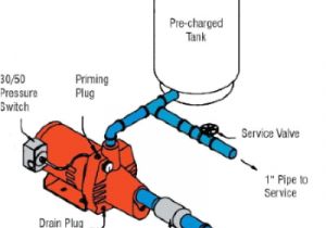Red Lion 2hp Sprinkler Pump Wiring Diagram Shallow Well Pump Schematic Wiring Diagram