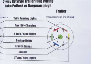 Reese Brakeman Compact Wiring Diagram Wilson Stock Trailer 7 Way Plug Wiring Diagram Wiring Library