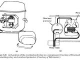 Refrigerator Start Relay Wiring Diagram Refrigerator Compressor Wiring Schema Diagram Database Refrigerator Start Relay Wiring Diagram Refrigerator Compressor Wiring Schema Diagram Database
