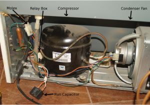 Refrigerator Start Relay Wiring Diagram Refrigerator Compressor Wiring Schema Diagram Database Refrigerator Start Relay Wiring Diagram Refrigerator Compressor Wiring Schema Diagram Database