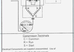 Refrigerator Wiring Diagram Compressor True Wiring Diagrams Wiring Diagram Centre