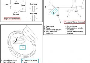 Relay for Fog Lights Wiring Diagram Fog Lamp Wiring Diagram Wiring Diagram Database