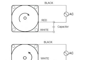 Reliance Csr302 Wiring Diagram Century Ac Motor Wiring Wds Wiring Diagram Database Reliance Csr302 Wiring Diagram Century Ac Motor Wiring Wds Wiring Diagram Database