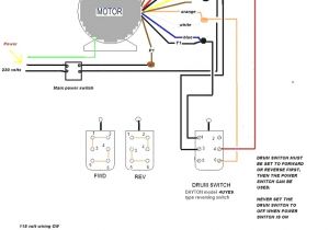 Reliance Dc Motor Wiring Diagram Baldor Motor Connection Diagram Wiring Diagram Reliance Dc Motor Wiring Diagram Baldor Motor Connection Diagram Wiring Diagram