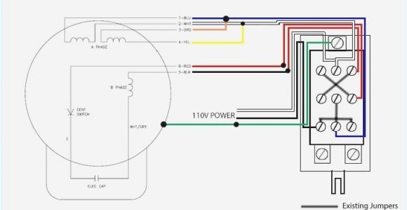 Reliance Dc Motor Wiring Diagram Baldor Motor Connection Diagram Wiring Diagram