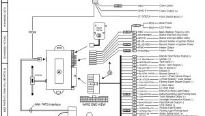 Remote Starter Wiring Diagram Delphi Remote Start Wiring Diagram Wiring Diagram Centre
