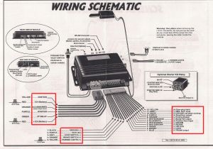 Remote Starter Wiring Diagrams Porsche Remote Starter Diagram Wiring Diagram for You