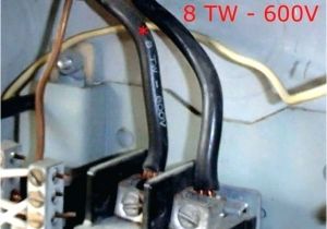 Residential Breaker Box Wiring Diagram Main Breaker Box Wiring Diagram Criptocoin Co Residential Breaker Box Wiring Diagram Main Breaker Box Wiring Diagram Criptocoin Co