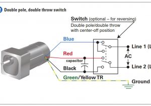 Reversible Ac Motor Wiring Diagram Motor Wiring Diagram 4 Wire Data Schematic Diagram