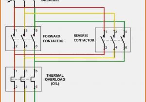 Reversing Contactor Wiring Diagram Contactor Relay Coil Wiring Diagram Wiring Diagrams Recent
