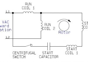 Reversing Single Phase Motor Wiring Diagram Dual Voltage Motor Wiring Diagram Wiring Diagram Autovehicle
