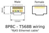 Revo Camera Wiring Diagram Rj12 Wiring Diagram Wiring Diagram Database